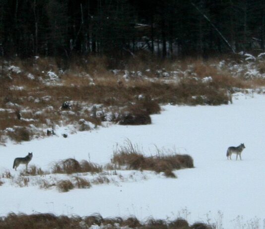 Finally! The sun is out