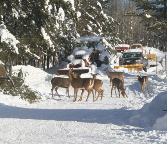 I’m busily reworking my kitchen and pantry