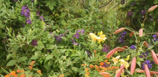 Oh boy, fall is in the air