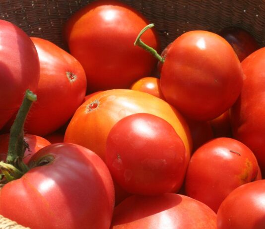 We hope everyone had a happy Labor Day