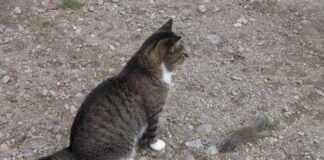 We had a busy weekend