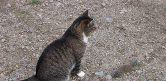 We had a busy weekend