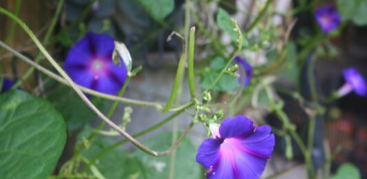 Our harvest weather is continuing