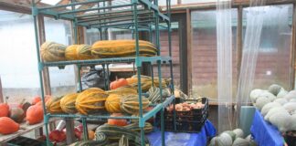 Another gloomy, rainy day on the homestead