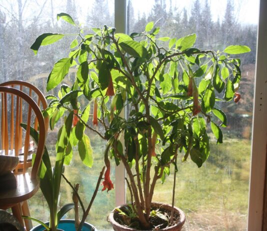 When it’s raining outside, I’m working inside