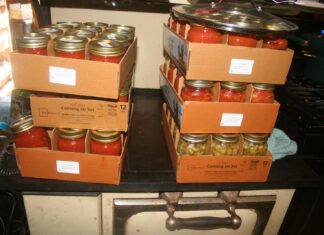 Oh my, did I ever get a deal