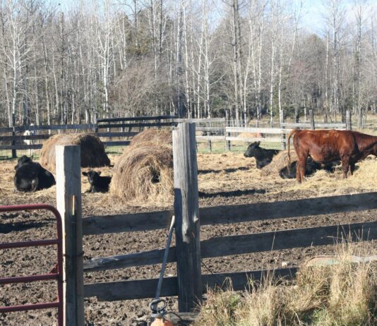 Winter’s coming like a freight train