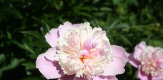 Wow! The sun finally came out.