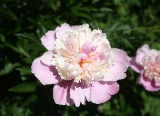 Wow! The sun finally came out.