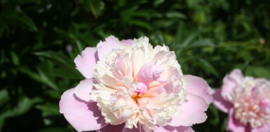 Wow! The sun finally came out.