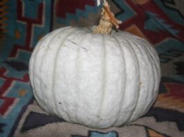 Well, winter is here