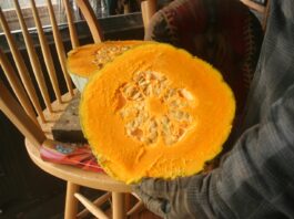 Our winter has left us — for a few days