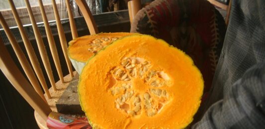 Our winter has left us — for a few days