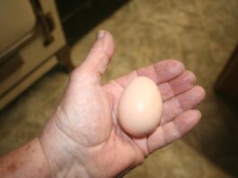 Another cold day and we’re getting things done indoors