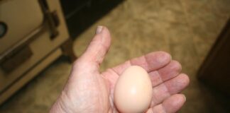 Another cold day and we’re getting things done indoors