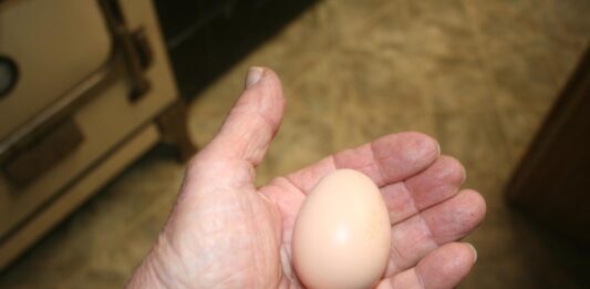 Another cold day and we’re getting things done indoors