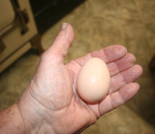 Another cold day and we’re getting things done indoors