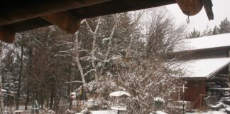 I hope you all had a wonderful, Happy Thanksgiving