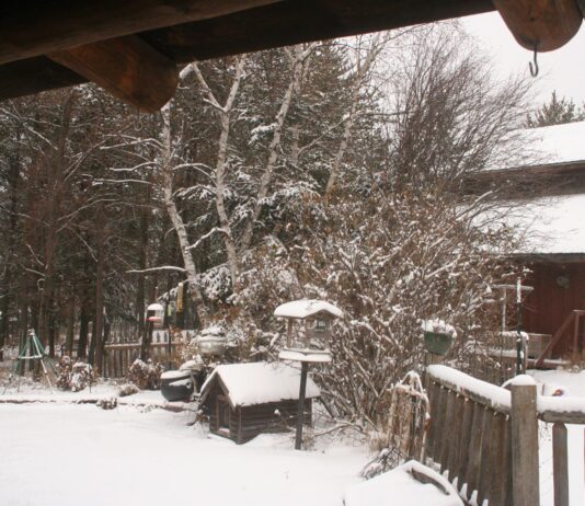 I hope you all had a wonderful, Happy Thanksgiving