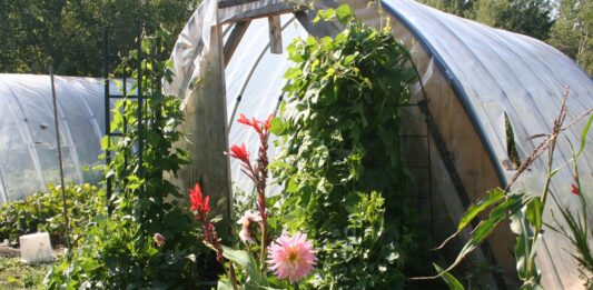 I’ve started plotting out our gardens for this year