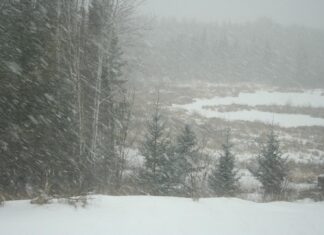 I’m just starting to get over my cold — in the cold