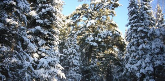 Wow, today it warmed up to 1 degree above zero!