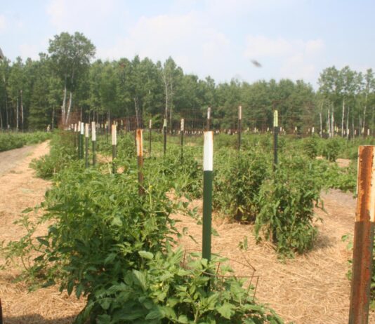 We’re preparing for a nasty stretch of weather