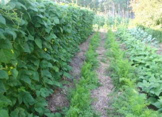 Grandson Drew is up from St. Paul