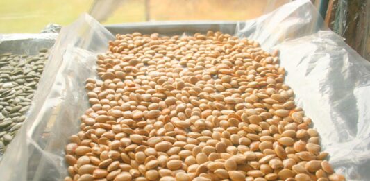 We’re holding our breaths here