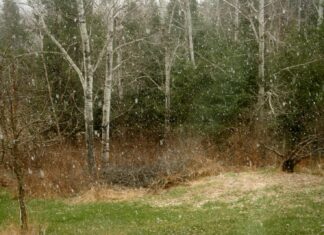 Holy cow! I woke up to snow this morning