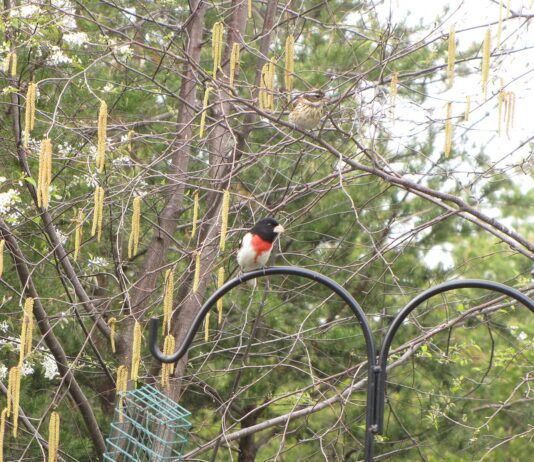 We’re having a very warm, late spring