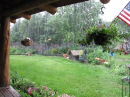 We are finally getting rain