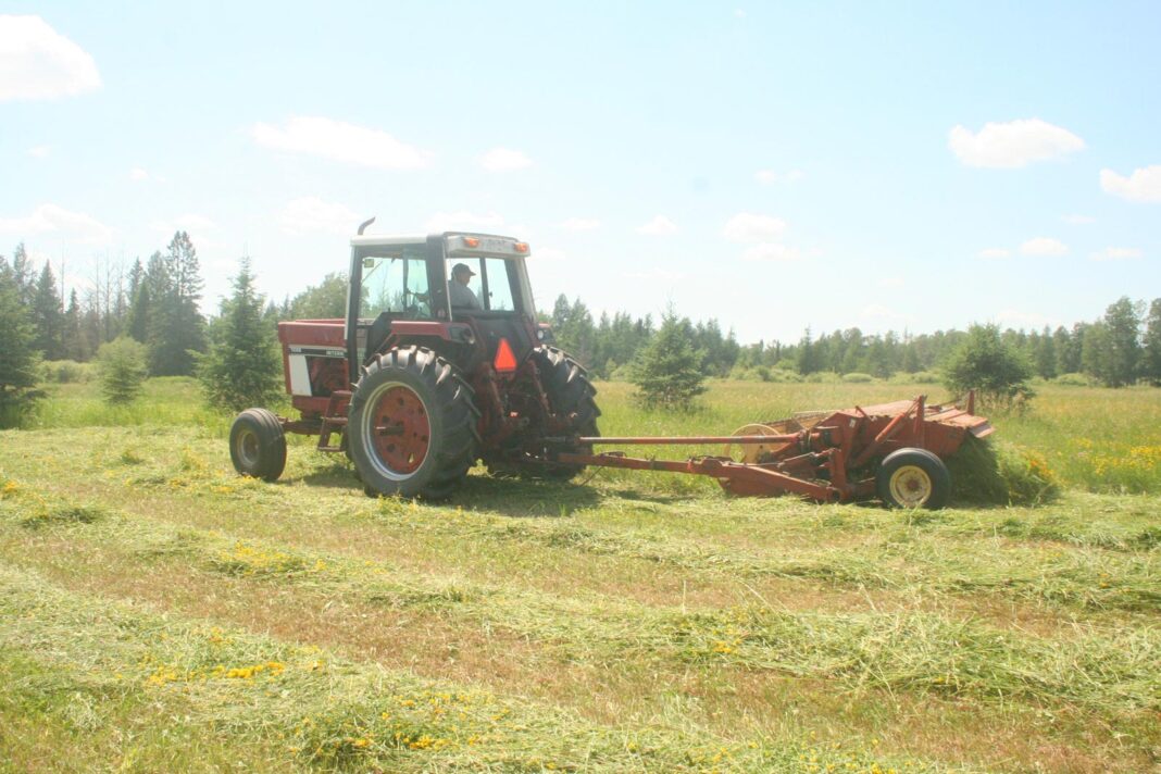 Will-haying_2349