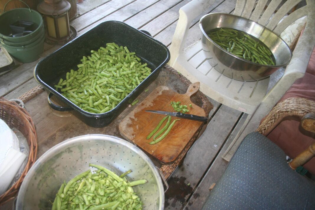 Cutting-green-beans_2452