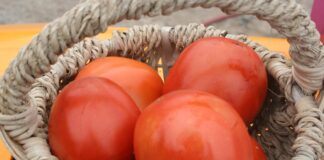 Holy cow, do we have tomatoes!