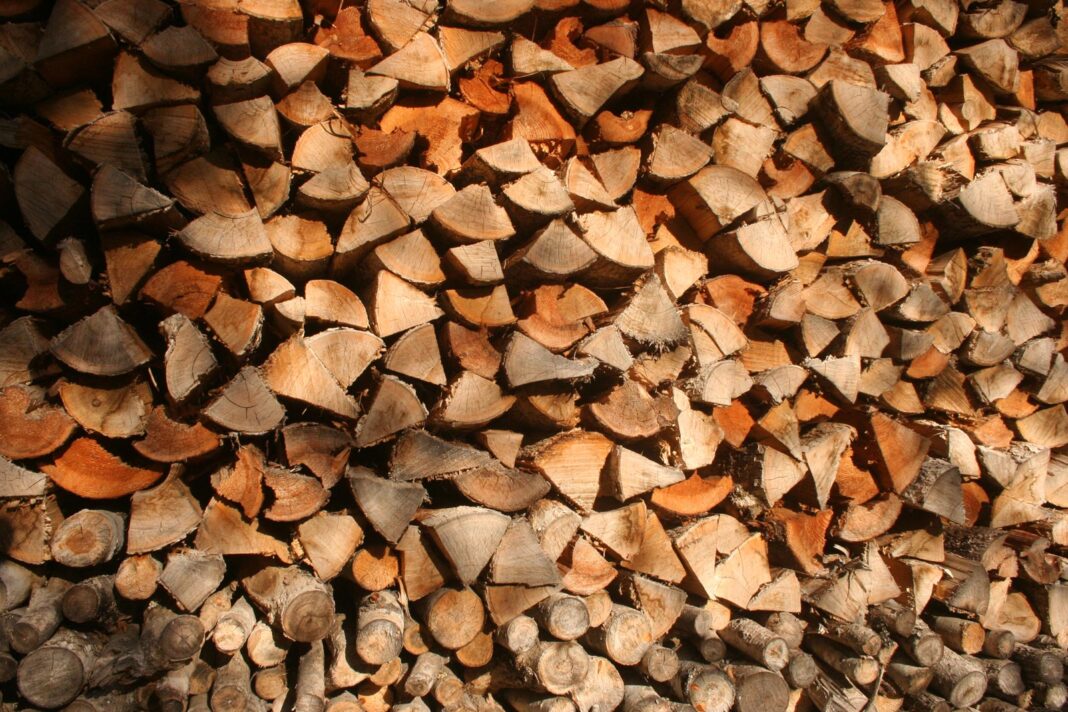 Firewood_8708