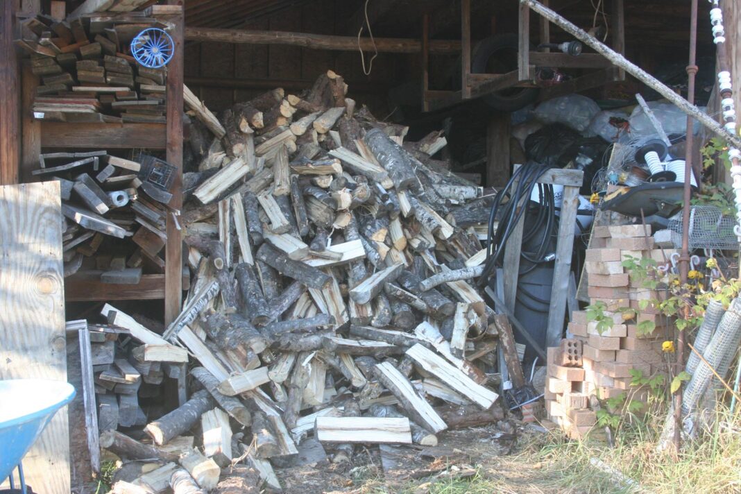 Firewood_2788