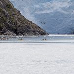 BlackstoneGlacier450