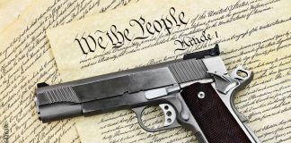 Hand Gun and Constitution