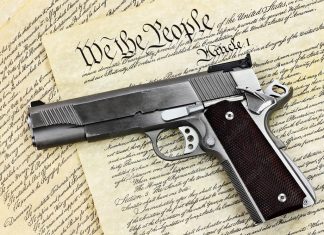 Hand Gun and Constitution