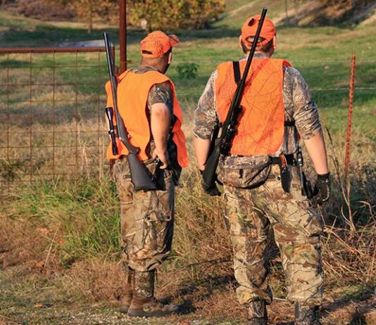 GUNS FOR THE BACKWOODS HOME