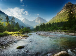 WHY I THINK YOU SHOULD BE ARMED IN THE GREAT OUTDOORS