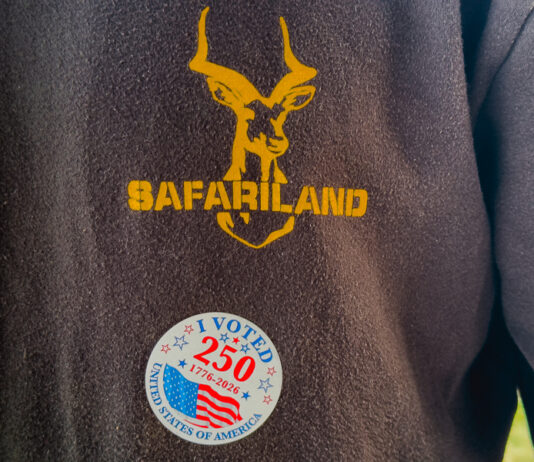 VOTE!