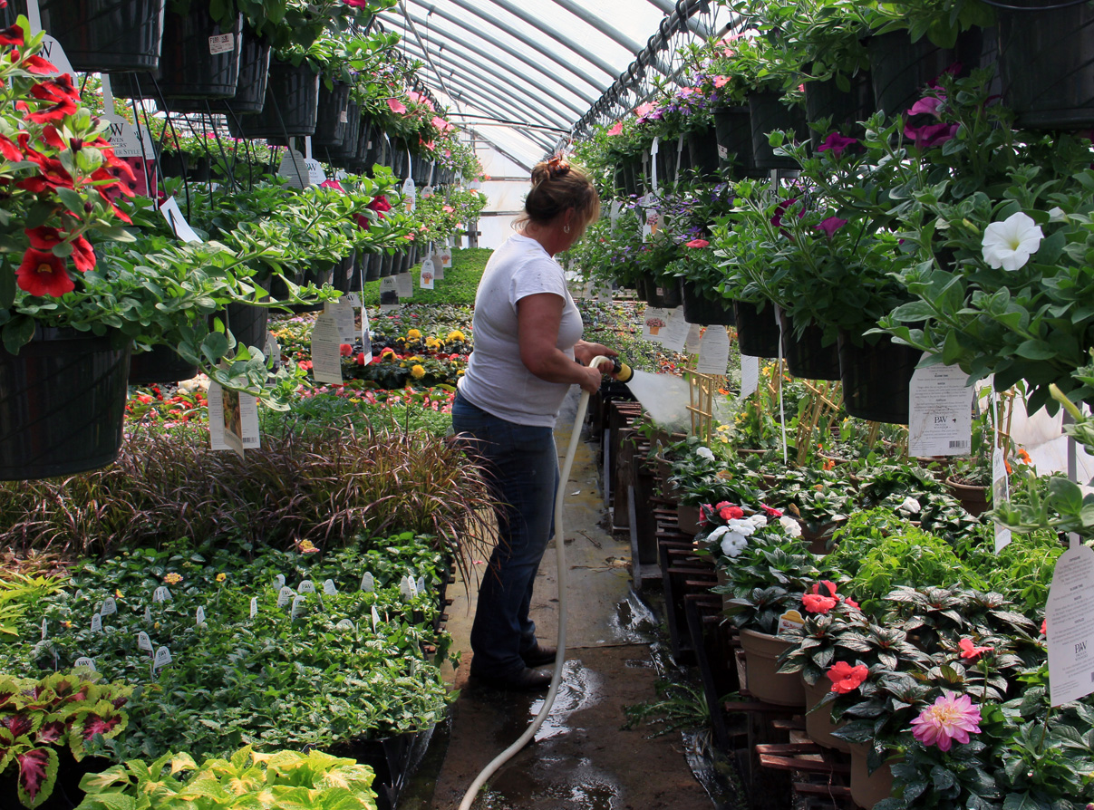 Jill Managing The Greenhouses Jill Managing The Greenhouses