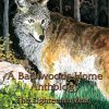Backwoods Home Magazine: The Eighteenth Year Anthology