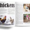 Chickens — A Backwoods Home Guide - Image 2