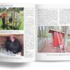 Chickens — A Backwoods Home Guide - Image 4