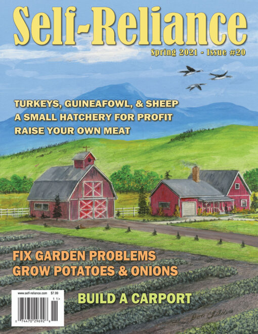 Self-Reliance: Spring 2021