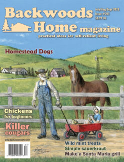Issue #201: July/Aug/Sept 2025