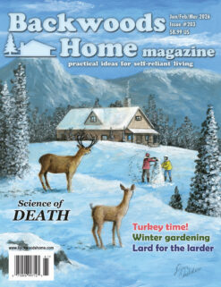 Issue #203: Jan/Feb/Mar 2026